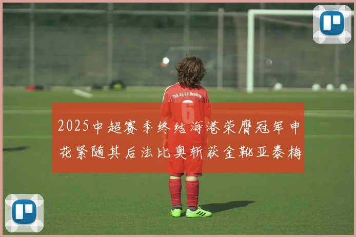 2025中超赛季终结海港荣膺冠军申花紧随其后法比奥斩获金靴亚泰梅州遗憾降级