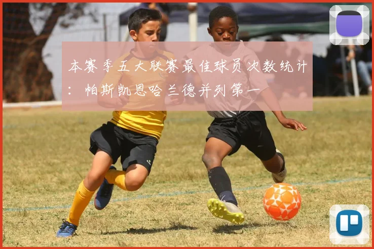 本赛季五大联赛最佳球员次数统计：帕斯凯恩哈兰德并列第一