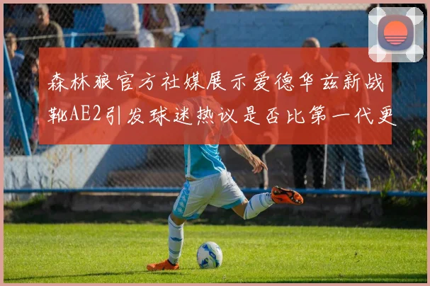 森林狼官方社媒展示爱德华兹新战靴AE2引发球迷热议是否比第一代更出色